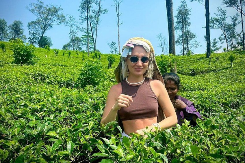 A person in a field of green tea plants with a child in the background. 1
