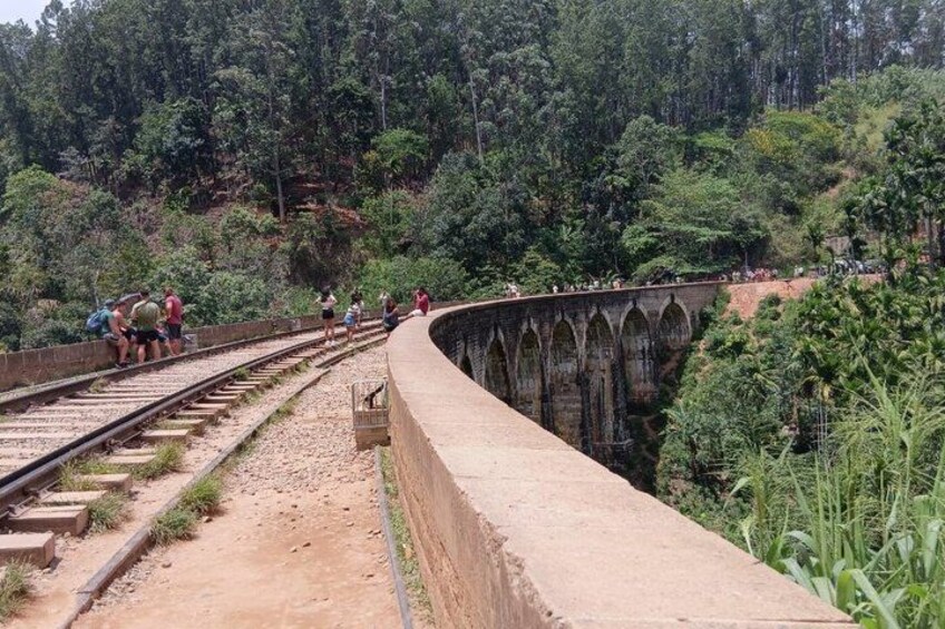 A railway bridge with people walking on it, surrounded by dense forest. 2