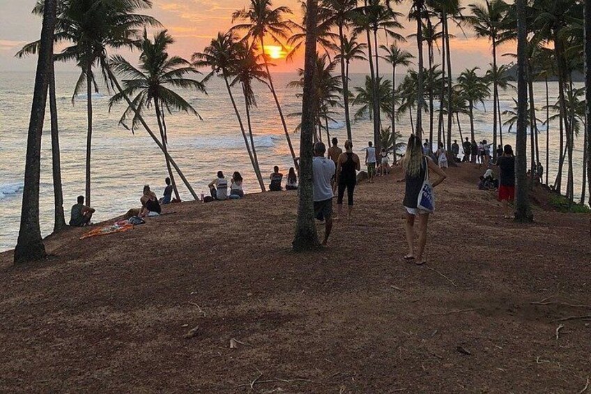 A beach with palm trees and people walking along the shore during sunset. 5