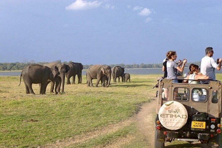 A safari vehicle with passengers observing elephants in a grassy area near a body of water. 3