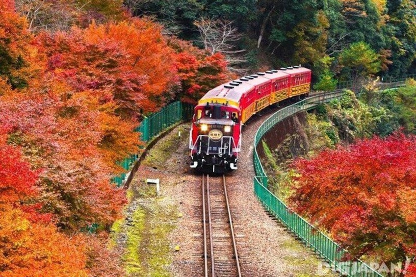 A train on a curved track surrounded by autumn-colored trees. 1