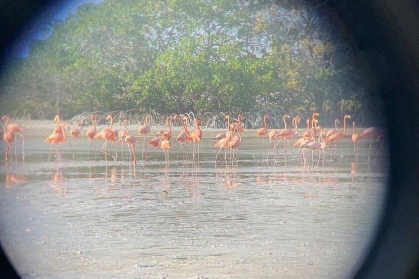 Nature tour full experience river lizards 2