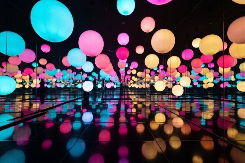Tokyo Private Tour: teamLab Planets & Tsukiji Market 4
