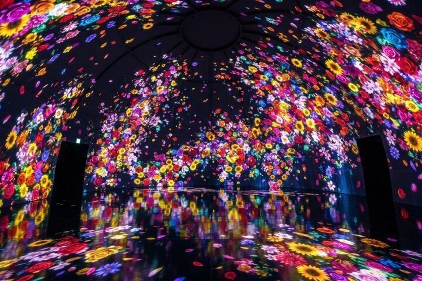 Tokyo Private Tour: teamLab Planets & Tsukiji Market 1