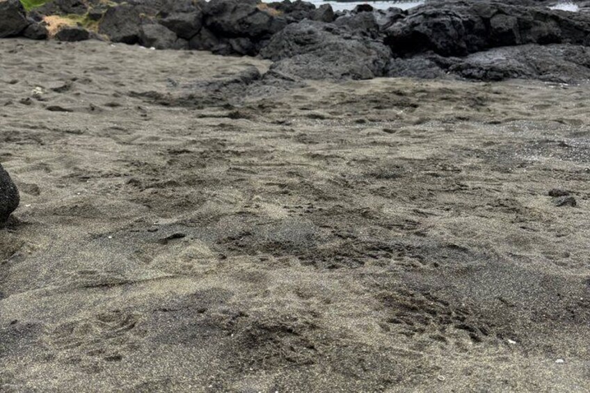 Une plage de sable où l’on peut voir des empreintes et, au loin, des roches volcaniques sombres. 3