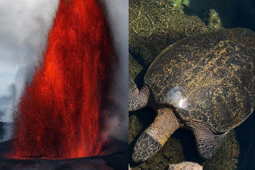 Big Island: Hawaii Volcanoes, Waterfalls and Hilo Adventure 1