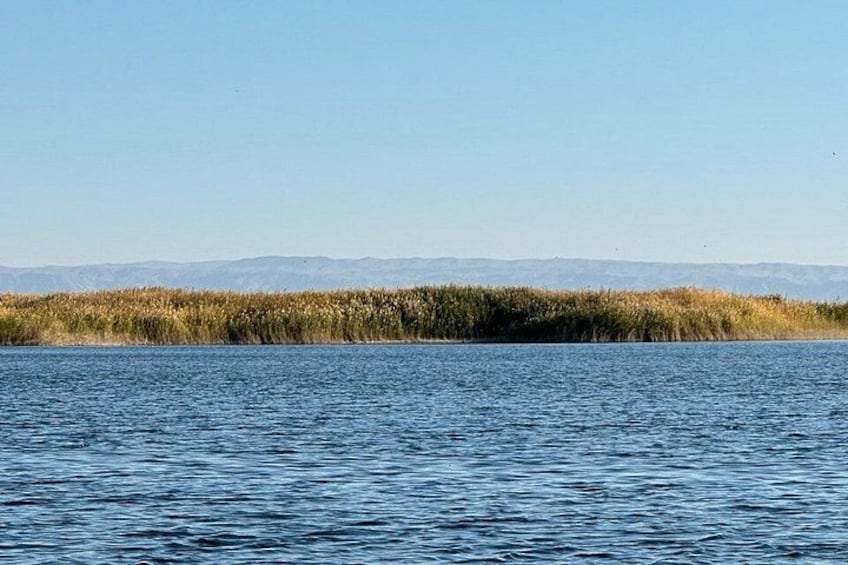 Ein ruhiger See mit einer grasbewachsenen Uferlinie und fernen Bergen unter blauem Himmel. 3