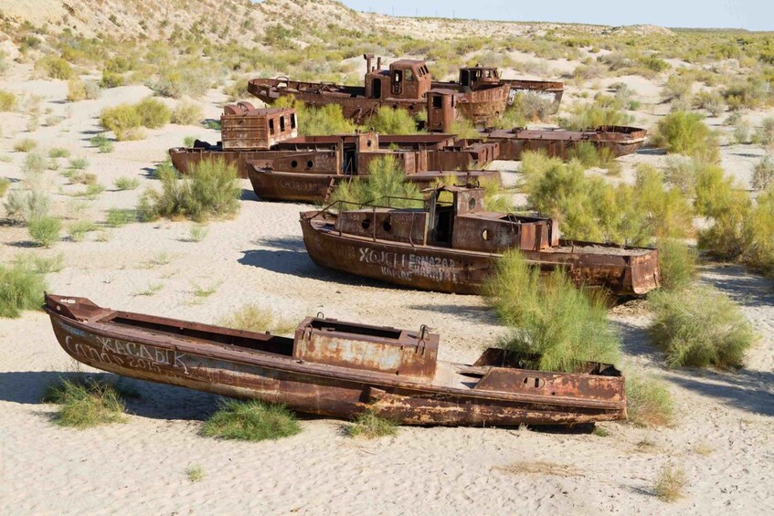 Picture 3 for Activity Moynaq: Aral Sea Ship Cemetery Tour 5