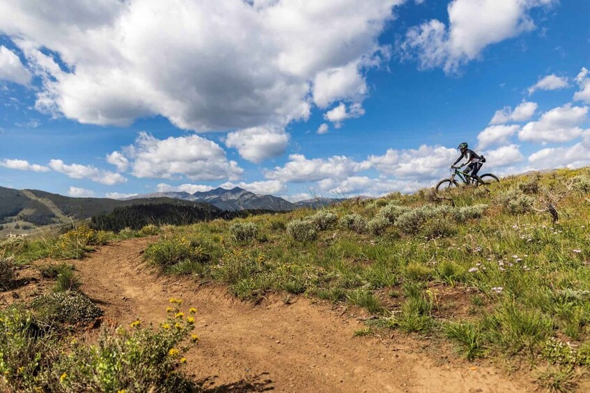 Picture 1 for Activity Silverthorne: Mountain Bike Ride Salt Lick Trails 3