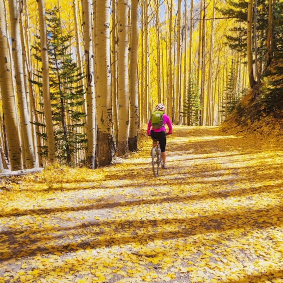 Picture 3 for Activity Silverthorne: Mountain Bike Ride Salt Lick Trails 2