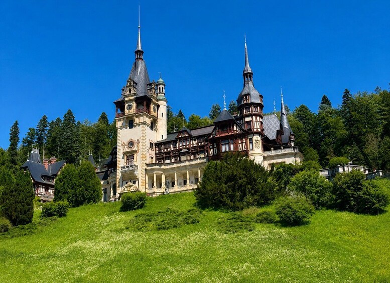 Picture 1 for Activity Minivan:Dracula Castle, Brasov Town& Peles Castle 2