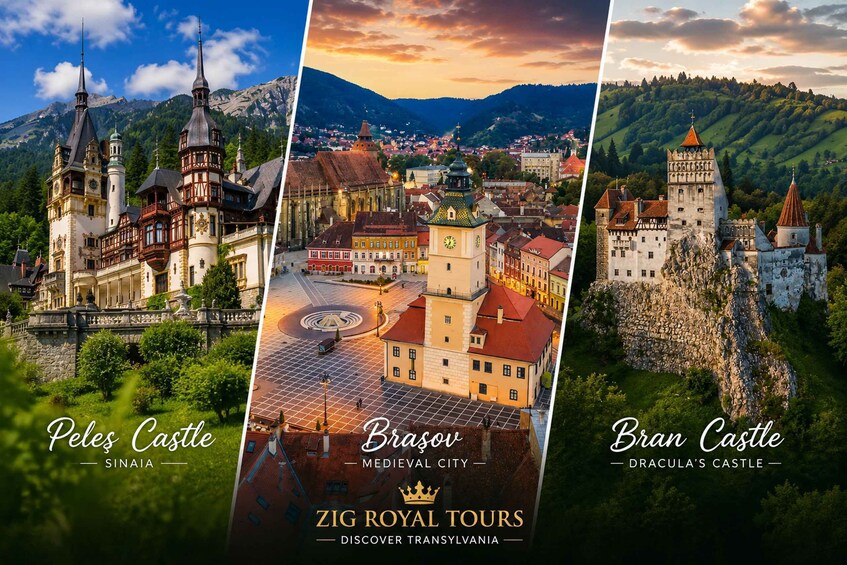 Picture 5 for Activity Minivan:Dracula Castle, Brasov Town& Peles Castle 4