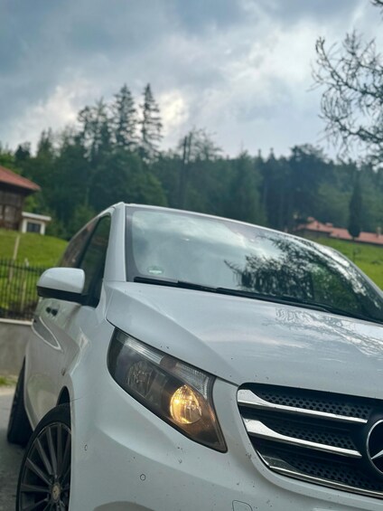 Picture 14 for Activity Minivan:Dracula Castle, Brasov Town& Peles Castle 5