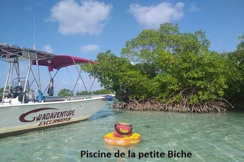 Boat trip visit Mangroves, islets and lagoon 2