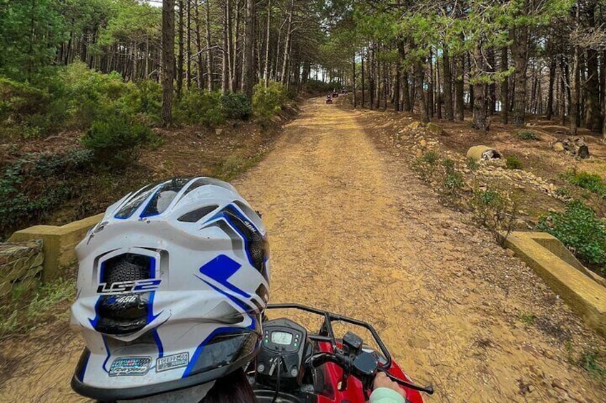 Un sentier de terre qui traverse une forêt, avec un casque de motoneige et une motoneige rouge en premier plan. 3