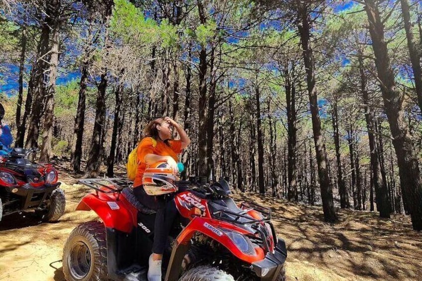 Une personne sur un quad rouge, dans une forêt. 2