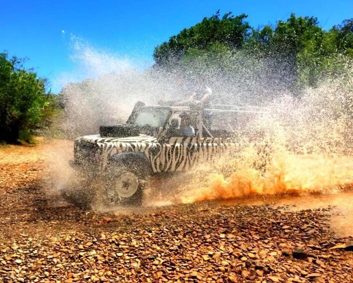 A zebra-patterned vehicle driving through a dry, rocky terrain, kicking up dust and water. 5