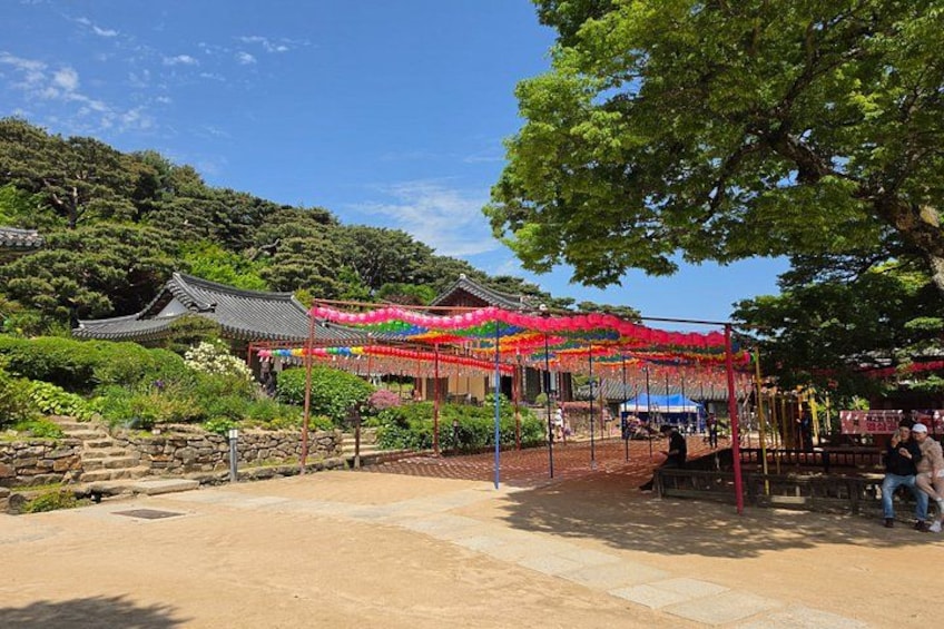 North Korea view from Starbucks(DMZ) & Gangwha Island Luge Dolmen 3