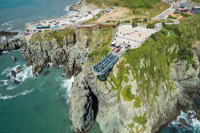 Busan Shore Excursion: City Highlights and Food Tastings 3