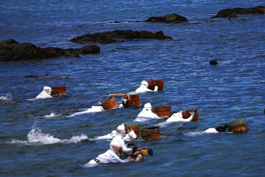 Toba Iseshima Customized Tour in 1 Day with Licensed Guide 5