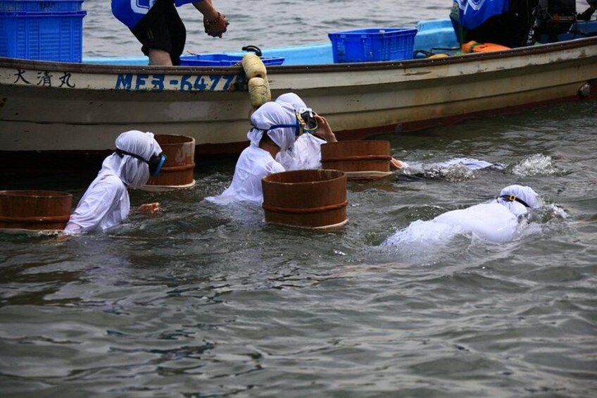 Toba Iseshima Customized Tour in 1 Day with Licensed Guide 3