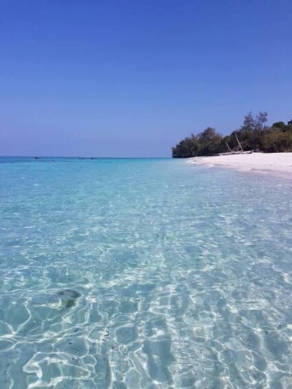 A clear turquoise sea, a sandy beach, and a small island with trees. 2