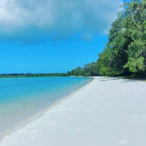 A beach with clear turquoise water, white sand, and dense green foliage. 3