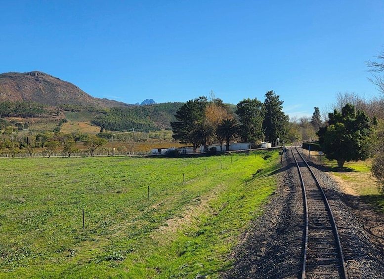 A railway track with a grassy field, trees, and a mountain in the background. 1