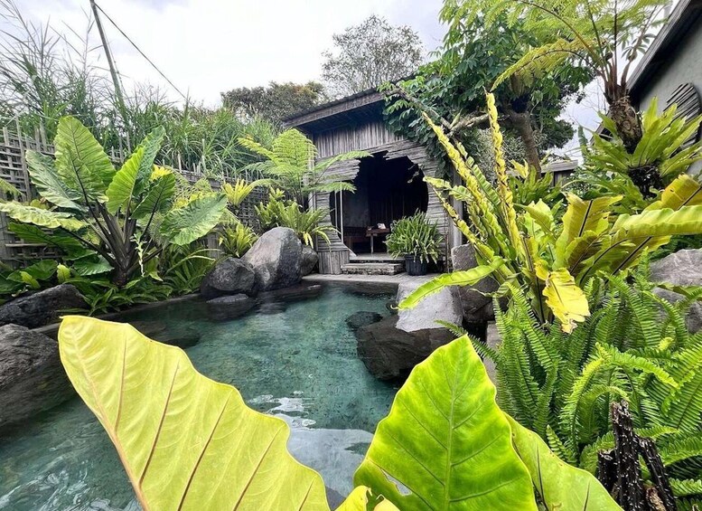 A tropical garden with a pond, large green leaves, and a wooden structure. 2