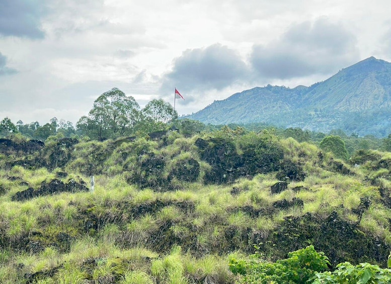 A mountainous landscape with dense vegetation and a flag on a hill. 5