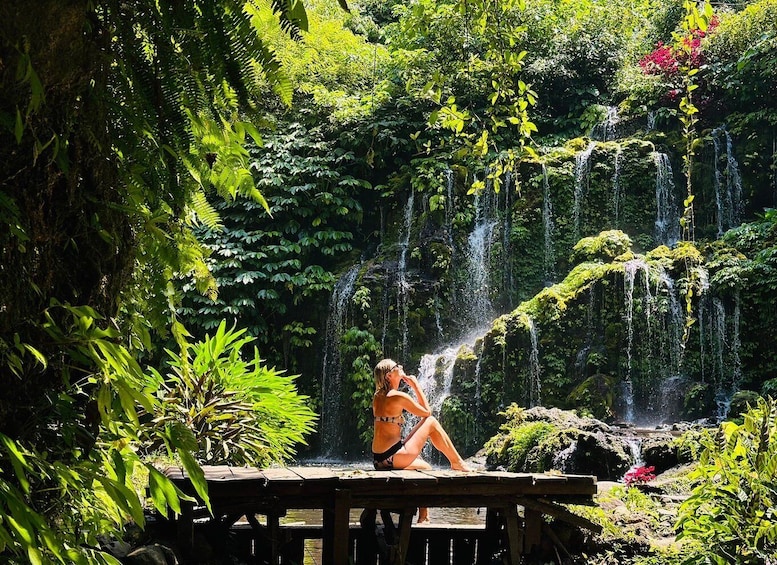 Picture 1 for Activity Bali: Waterfall in the forest & twin lake view tour 3