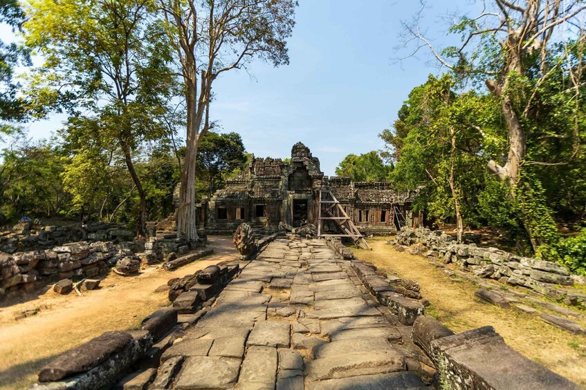 An ancient stone pathway leading to a temple surrounded by trees. 5