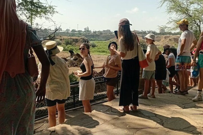 A group of people standing on a stone platform, some wearing hats, with a giraffe in the background. 1