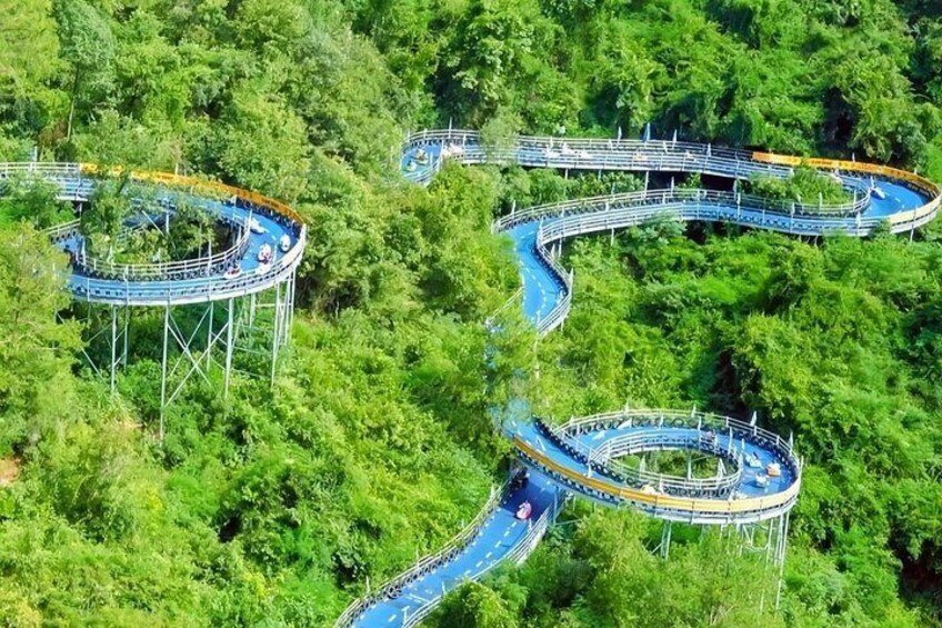 A roller coaster winding through a lush green forest. 4