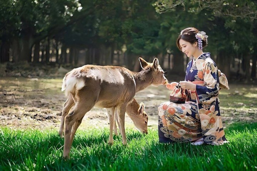 A person in traditional attire sitting on grass, interacting with a deer. 2