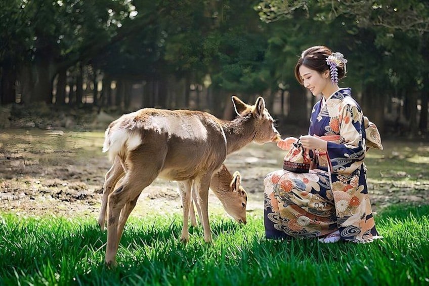 A person in traditional attire sitting on grass, interacting with a deer. 2