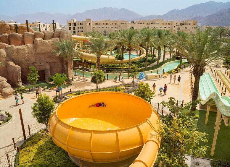 A water park with a large yellow slide, palm trees, and a pool area. 1