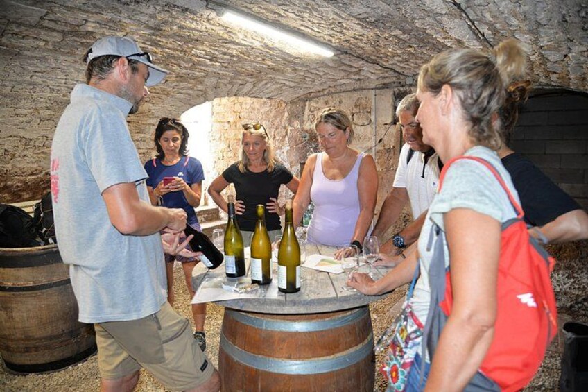 A group of people tasting wine in a cellar with barrels and bottles. 3