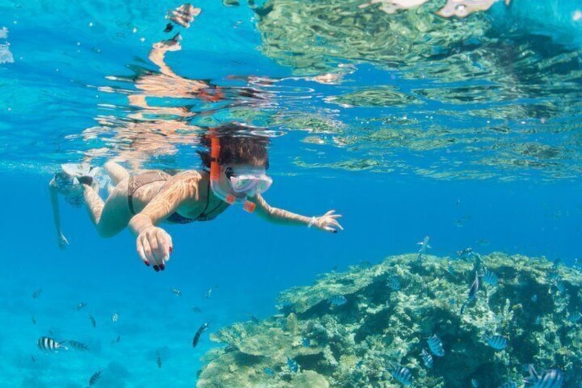 Hurghada Hula Hula Swimming & Lunch & Watersports 2