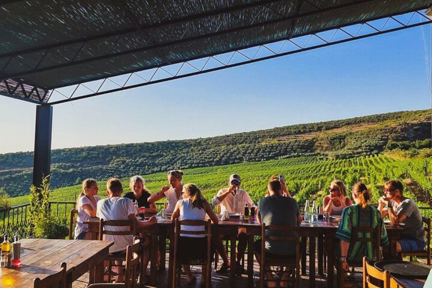A group of people seated at tables outdoors, overlooking a vineyard. 4