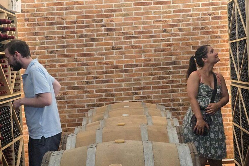 Durrës Countryside Vineyard Experience with Wine & Food Pairing 2