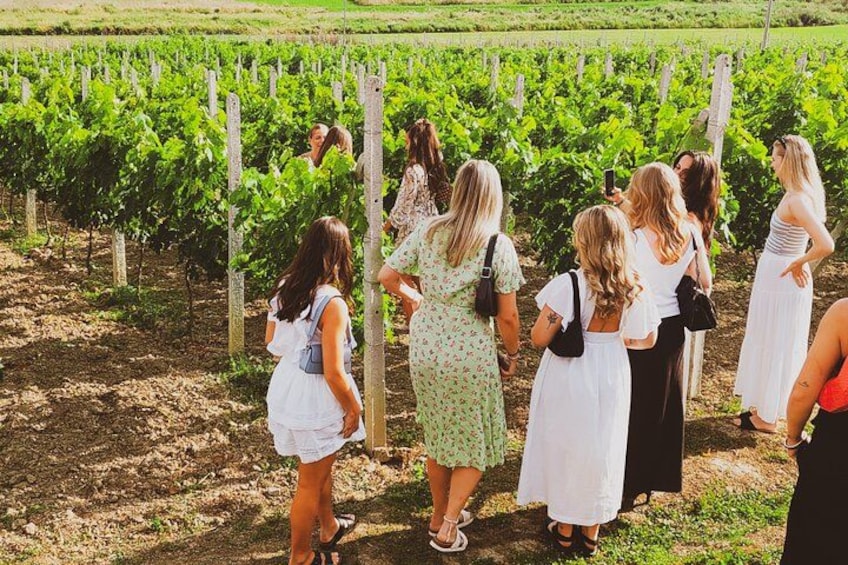 A group of people in a vineyard. 2