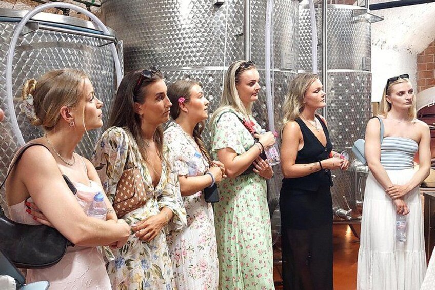 Durrës Countryside Vineyard Experience with Wine & Food Pairing 3