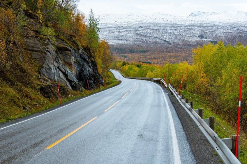 Summer-Autumn Private Shore Tour: Arctic Beach Adventure 4