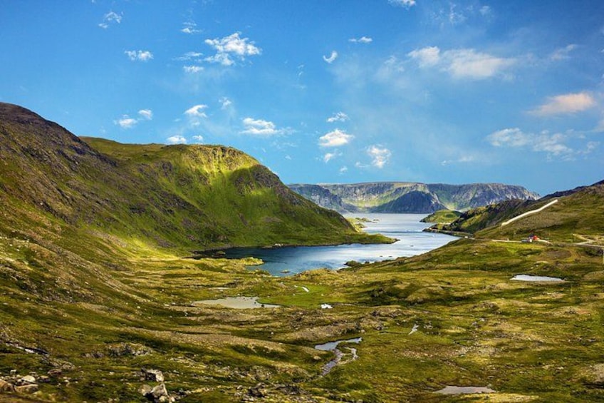Summer-Autumn Private Shore Tour: Arctic Beach Adventure 2