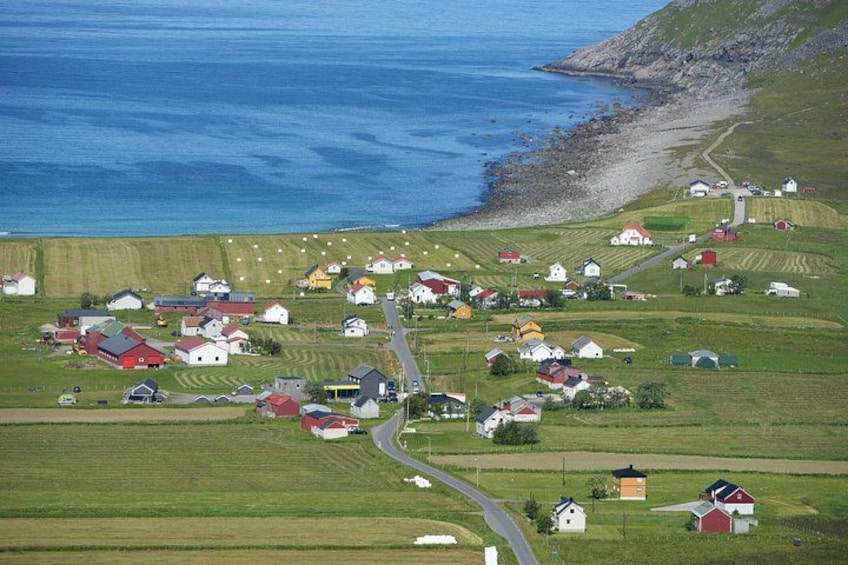 Summer-Autumn Private Shore Tour: Arctic Beach Adventure 3