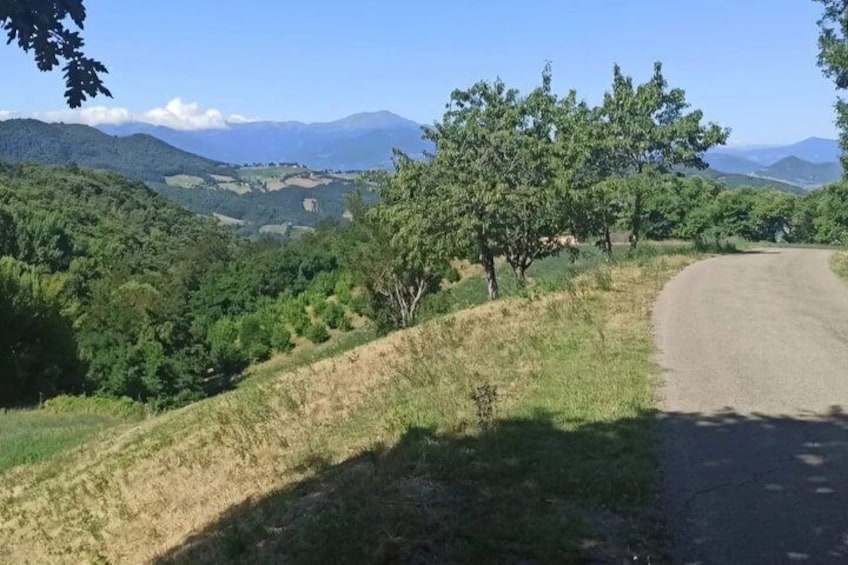 Une route de campagne sinueuse qui traverse un paysage vallonné, bordé d’arbres verdoyants et avec des montagnes qui se dessinent à l’horizon. 4