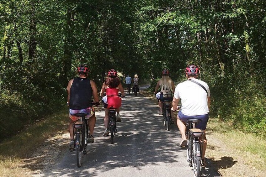 Loire Valley Ultimate E-bike Tour: Amboise, Chenonceau & Wine 2