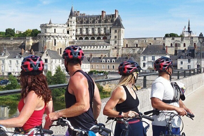 Loire Valley Ultimate E-bike Tour: Amboise, Chenonceau & Wine 4