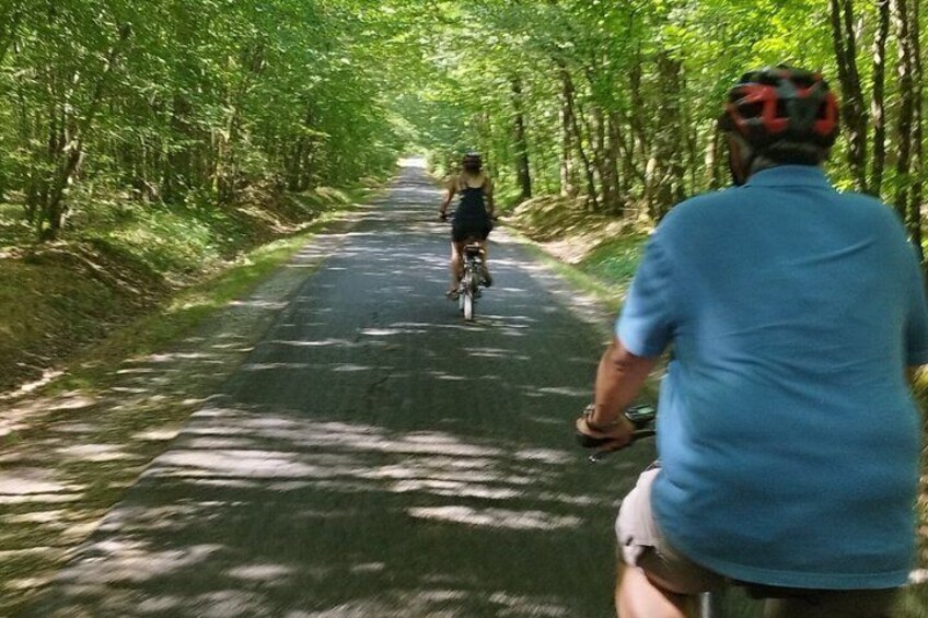 Loire Valley Ultimate E-bike Tour: Amboise, Chenonceau & Wine 2